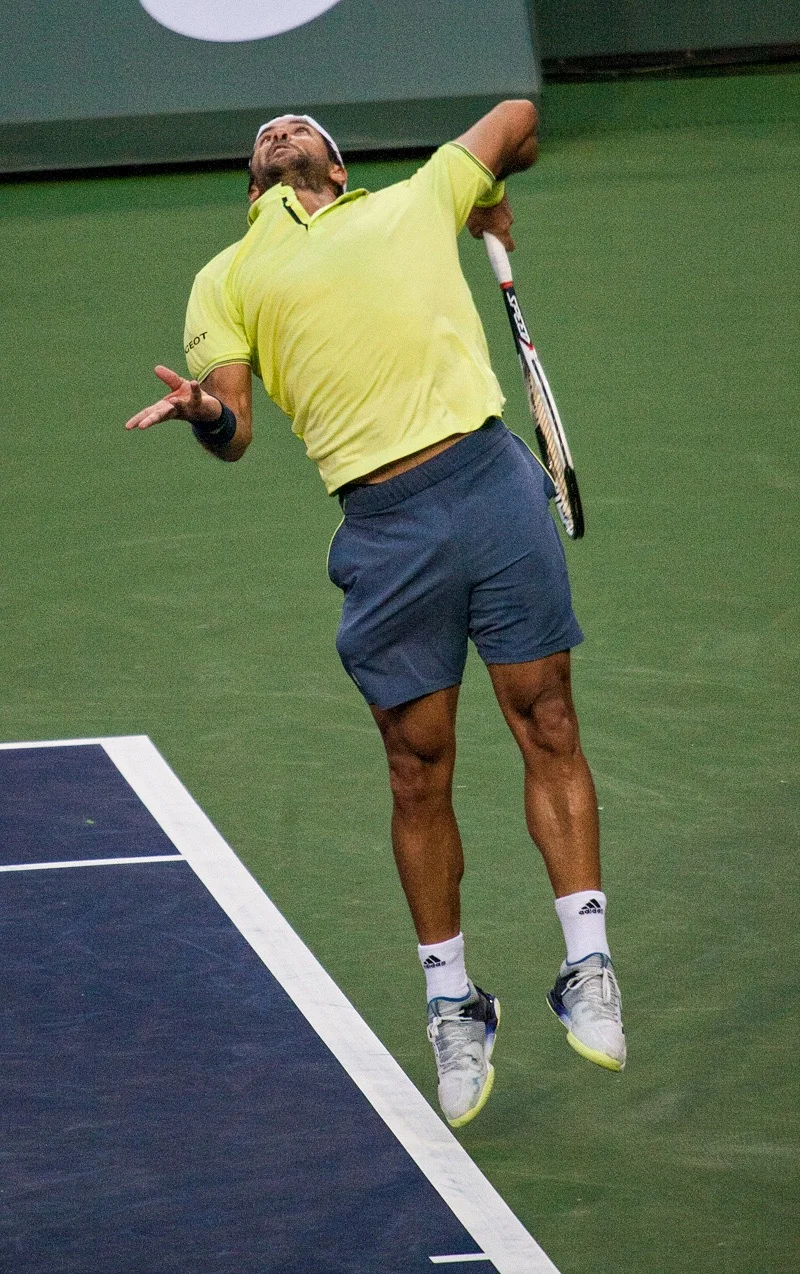 Fernando Verdasco