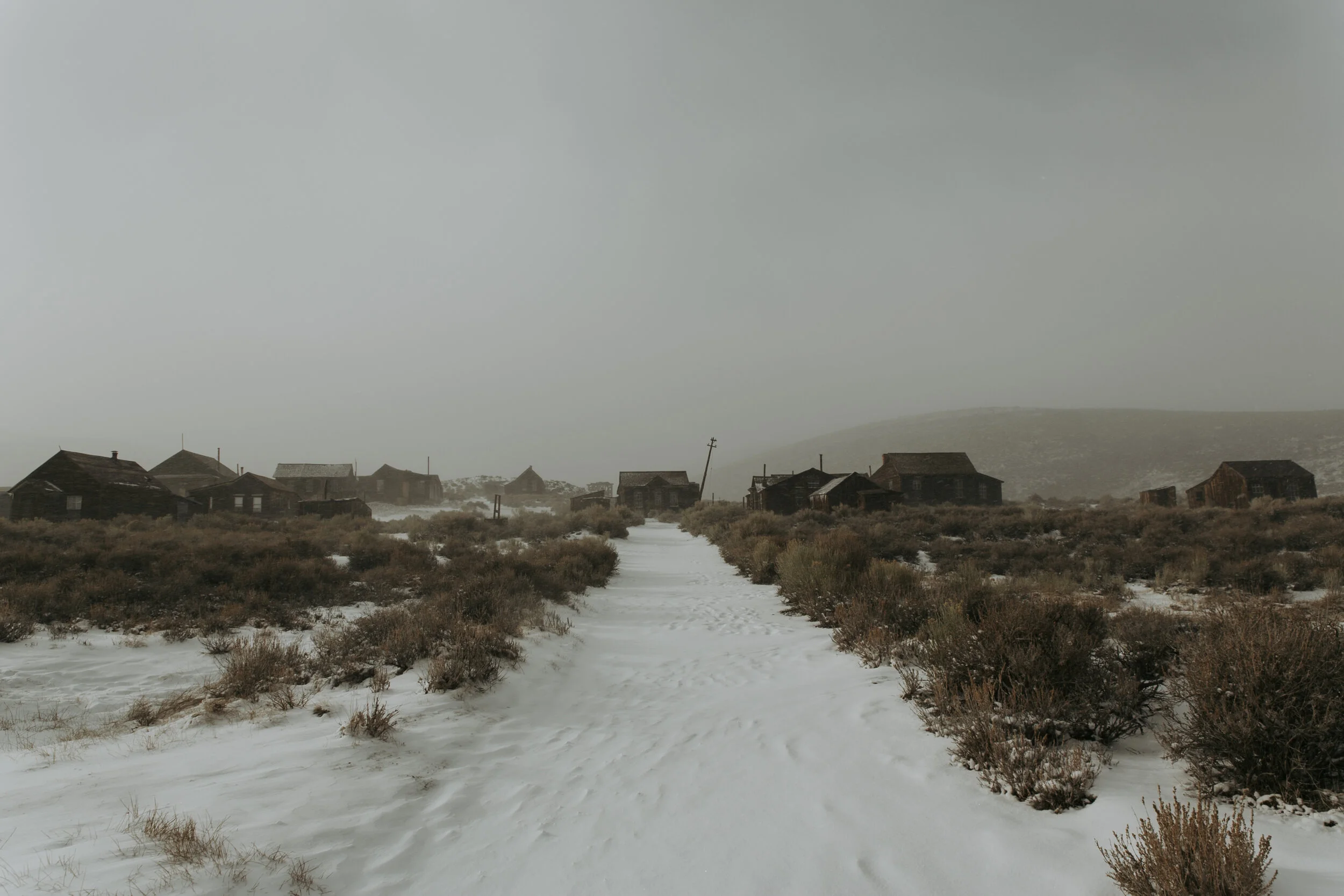 untitled1O0A0974.jpg