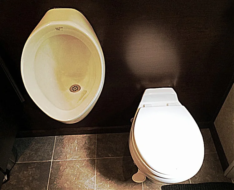 Petite-Delxue-Interior-1.jpg