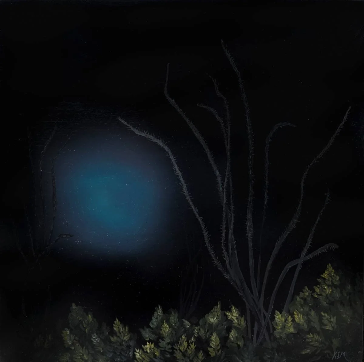 Night Watchers II, Big Bend