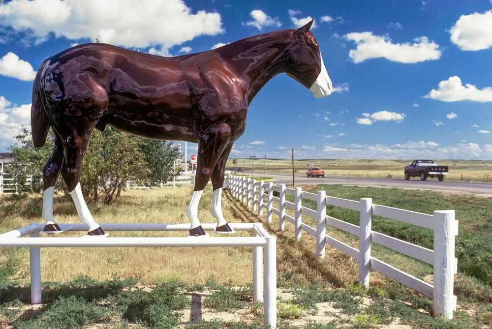Horse Sign, Douglas, Wyoming, 1992, A/P