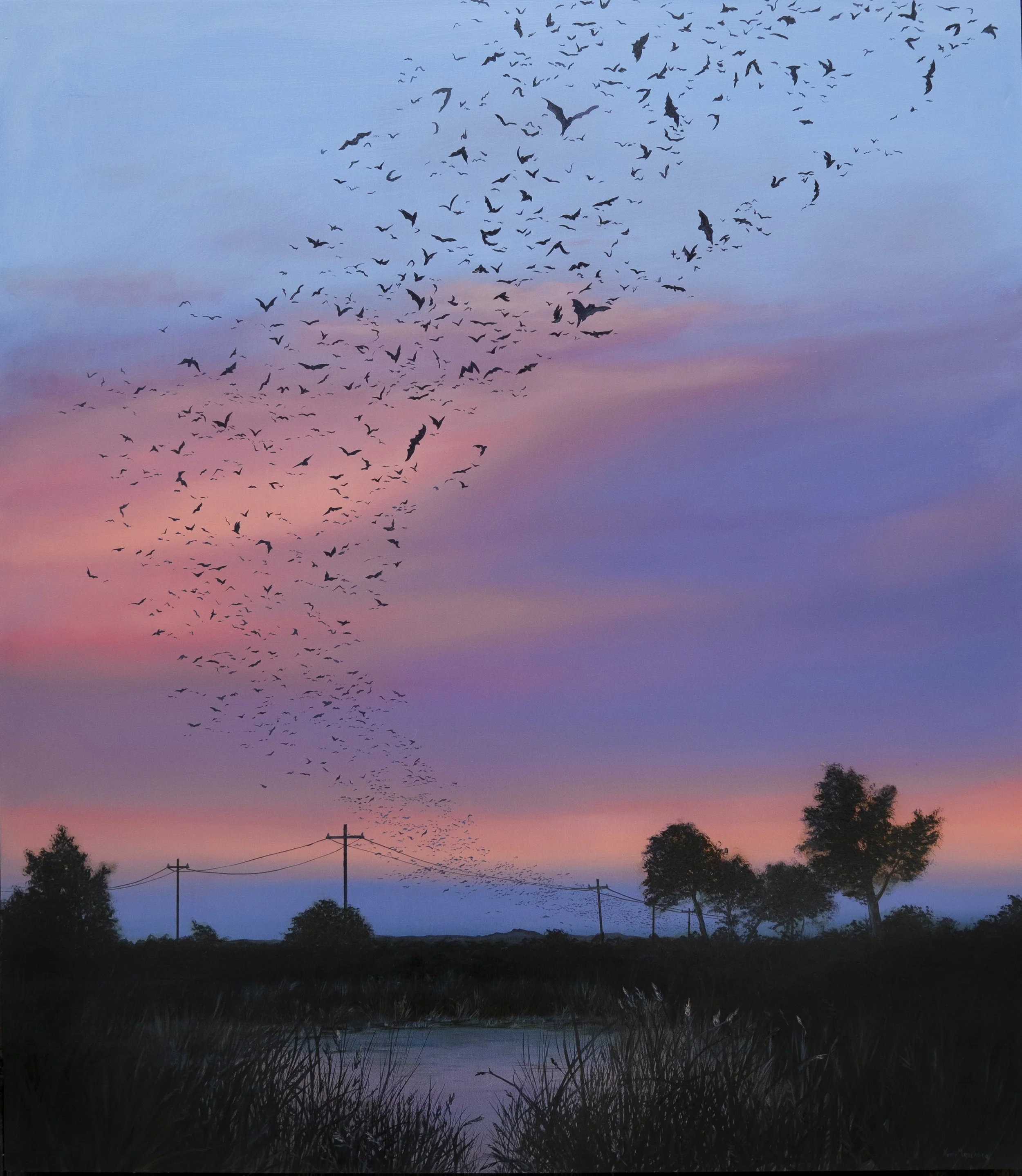 Temporary Madness.jpg