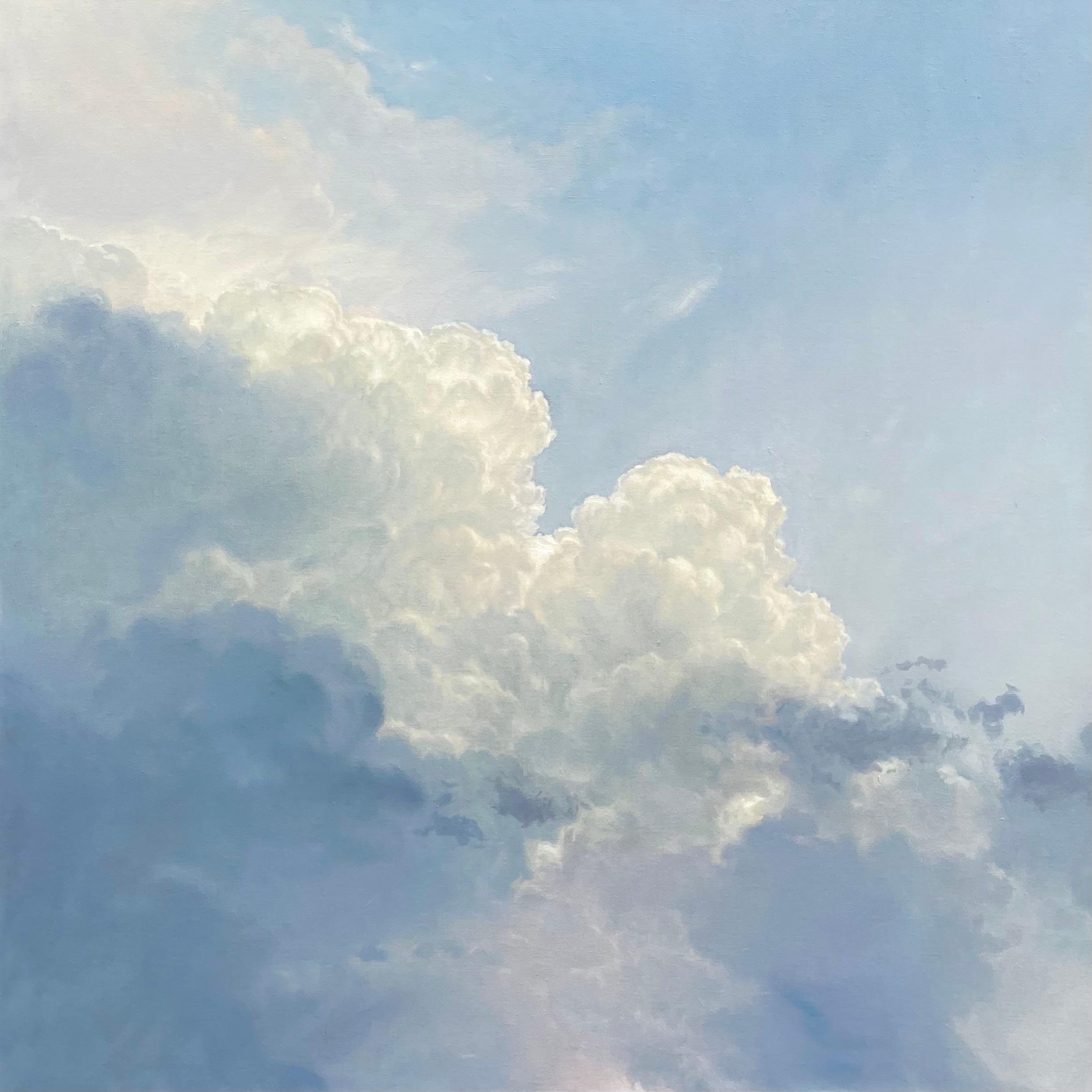 Cloudscape 132