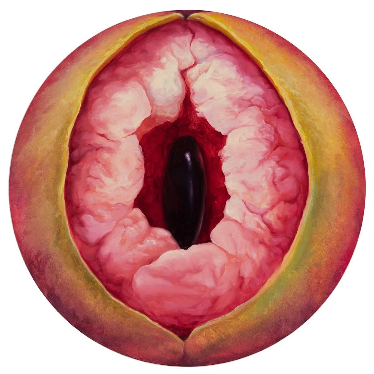 Madras_Thorn_fruit_ncqfqj.jpg