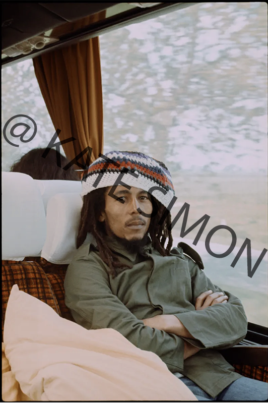 Marley.png