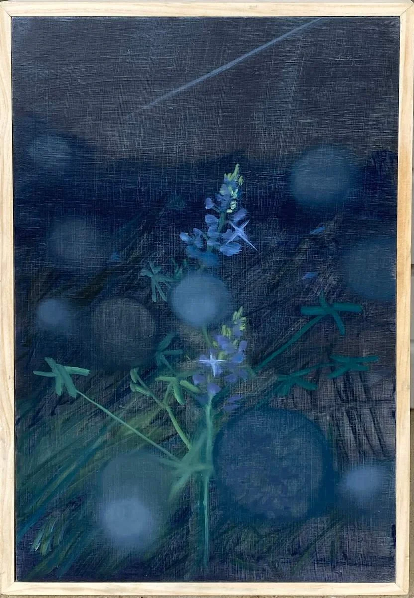 When I Am Gone, I Will Come Back As A Bluebonnet