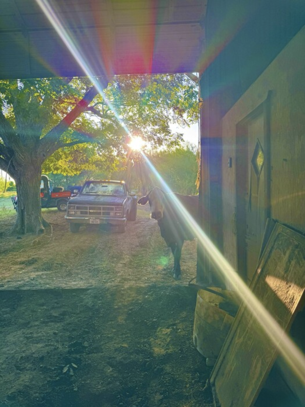 When the Light Found Us