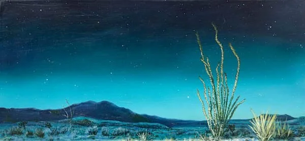 Headlights in the Desert