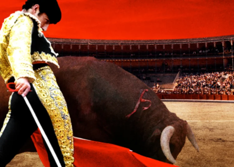 TheMatador.jpg