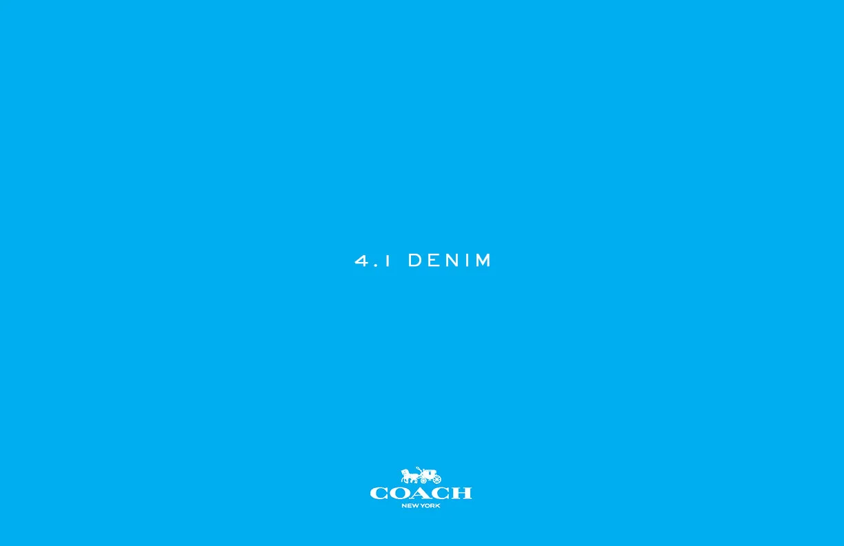 4.1-Denim-Titles-AA.jpg