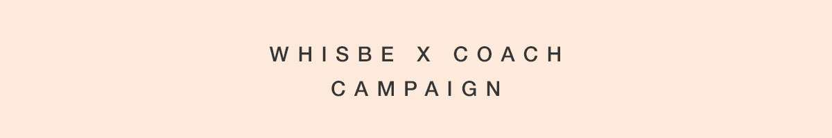 TEXT-Header2-Whisbe.jpg