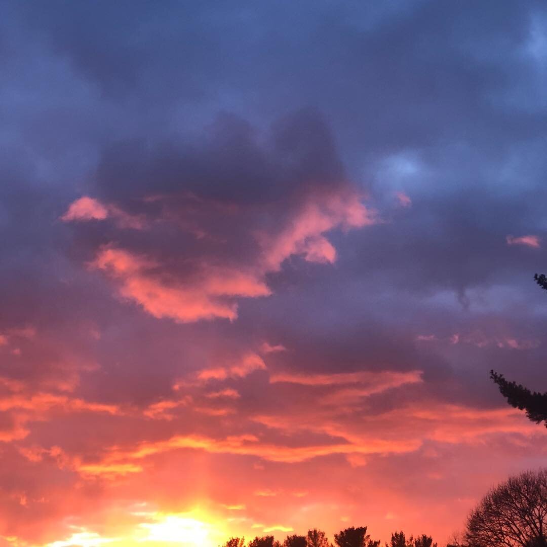 When you open your front door to this ...::