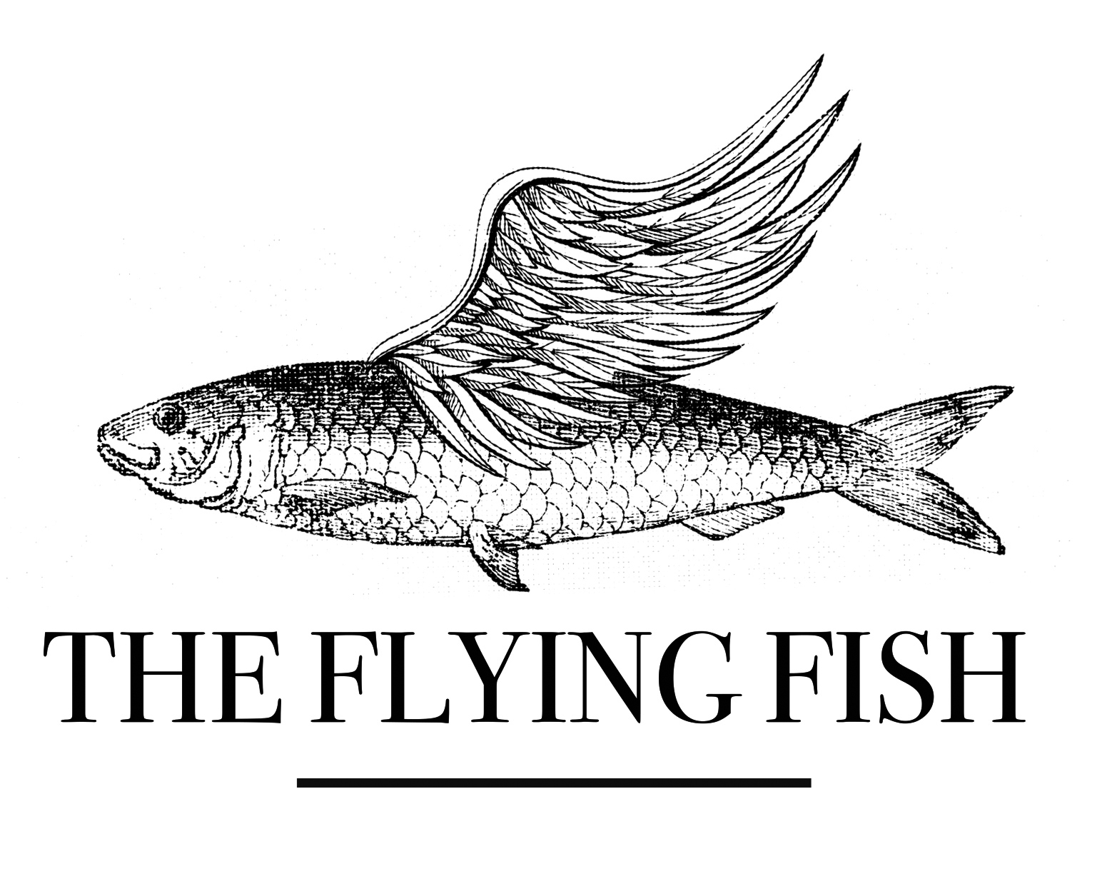Flying Fish Logo Design by C100.