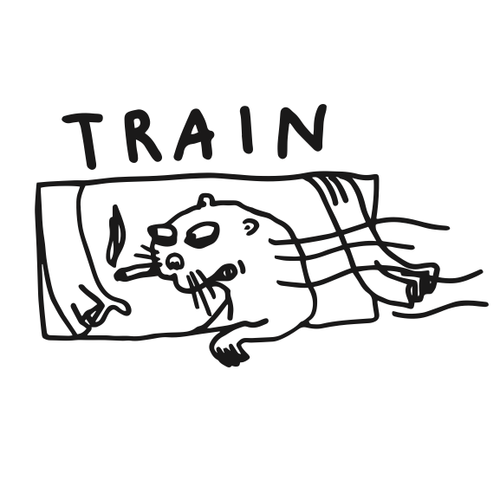 The Train