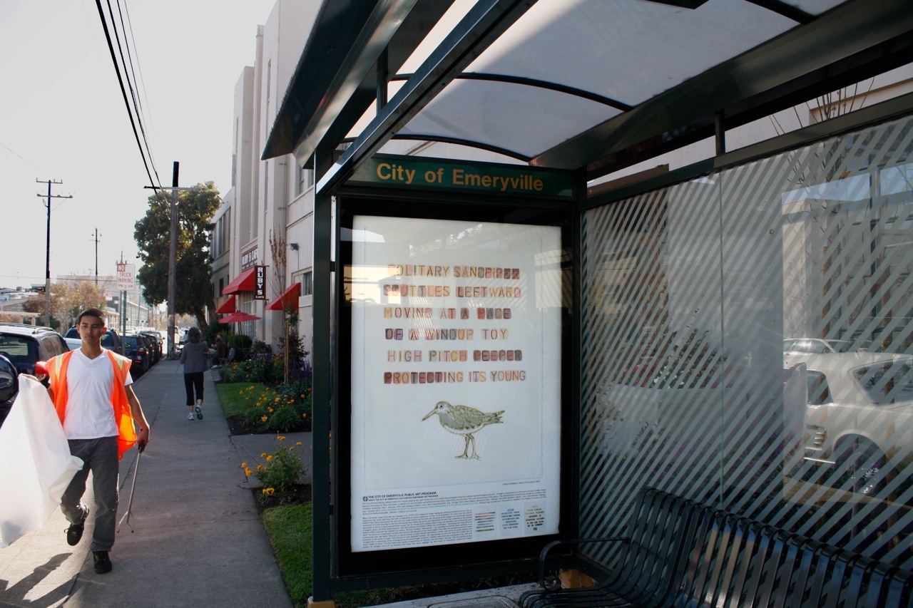 Emeryville Bus Shelter Project: Flora & Fauna