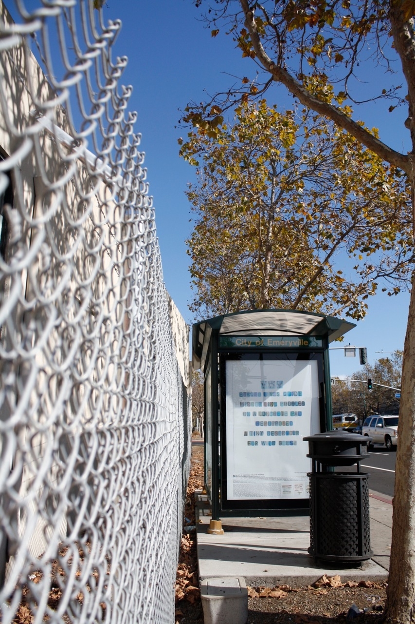 Emeryville Bus Shelter Project:  Flora and Fauna