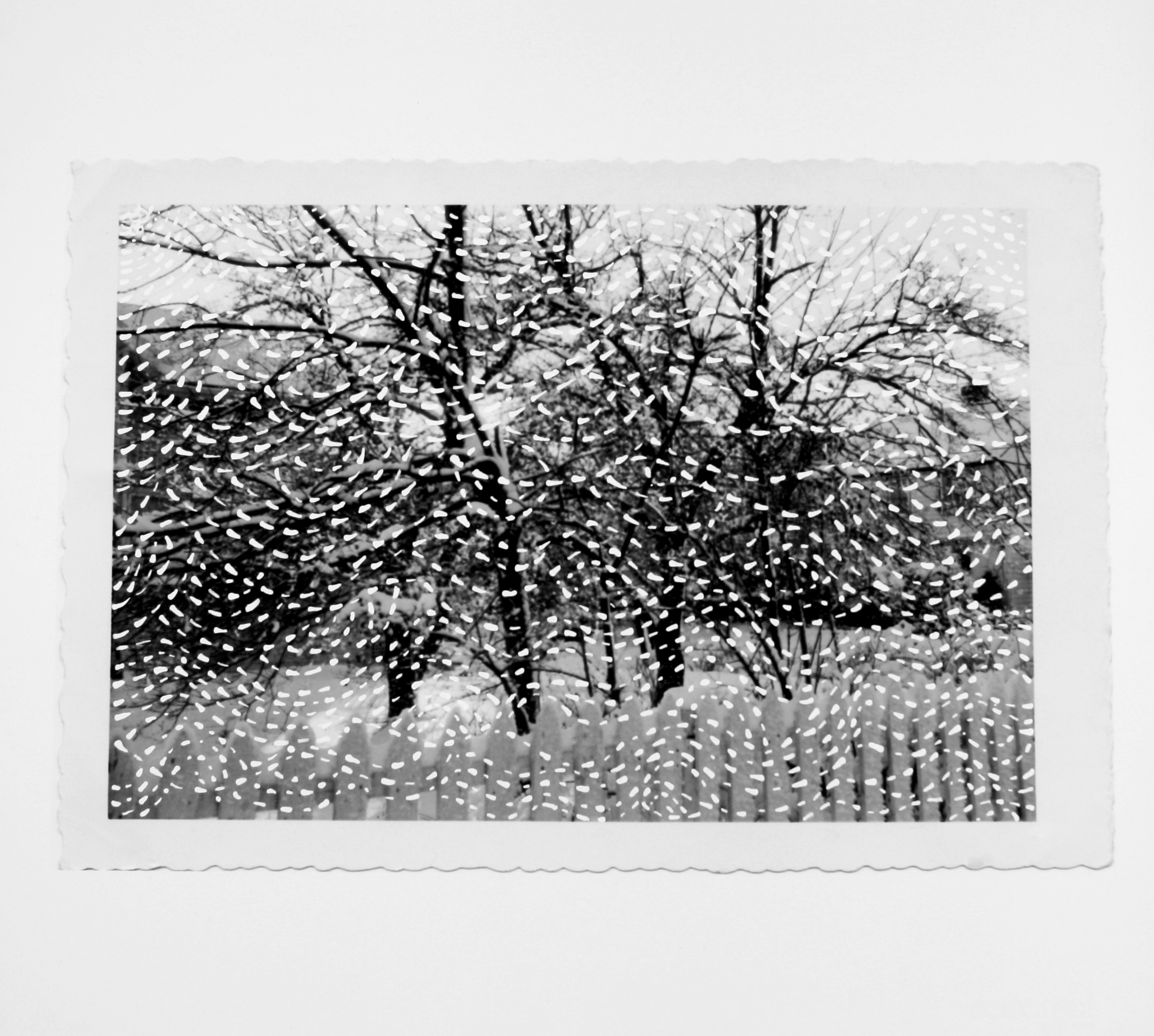 Recollection Drawn:  Winter Trees
