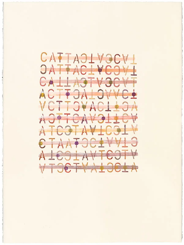 39 Versions