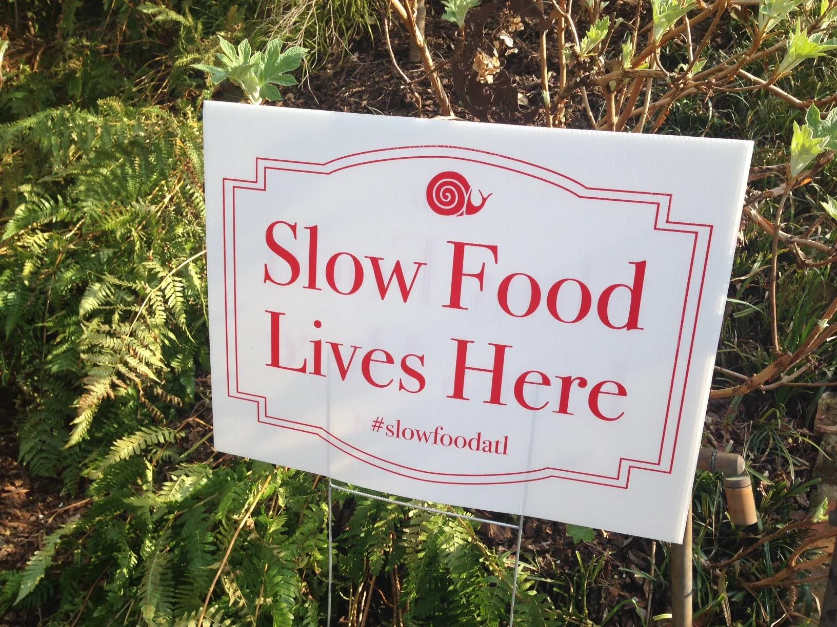 Slow Food 101 Potluck