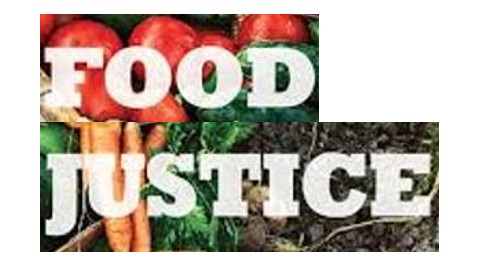 Food Justice&nbsp;Committee Meeting!