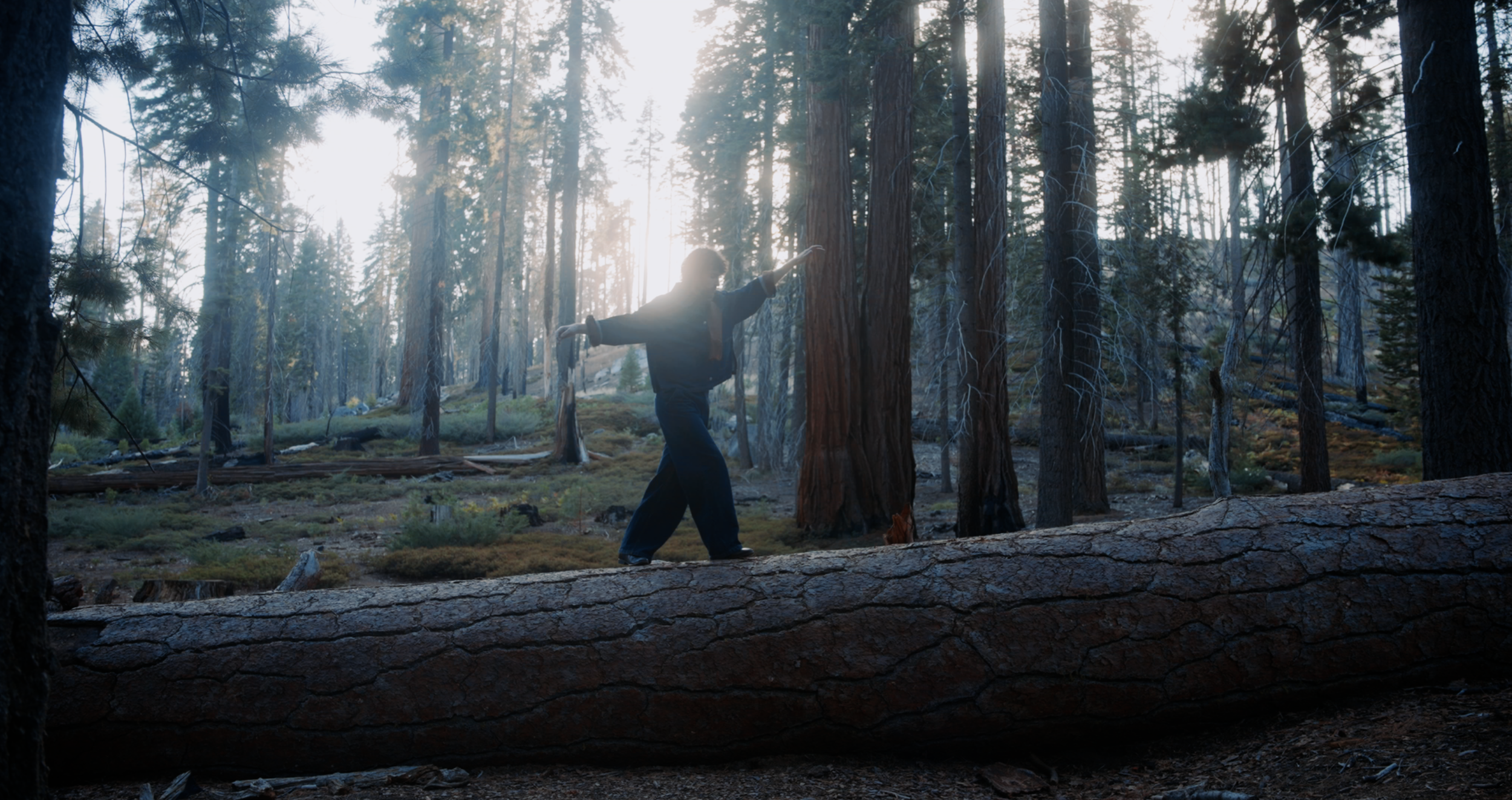 FABLE III  “THE MODERN WILD”