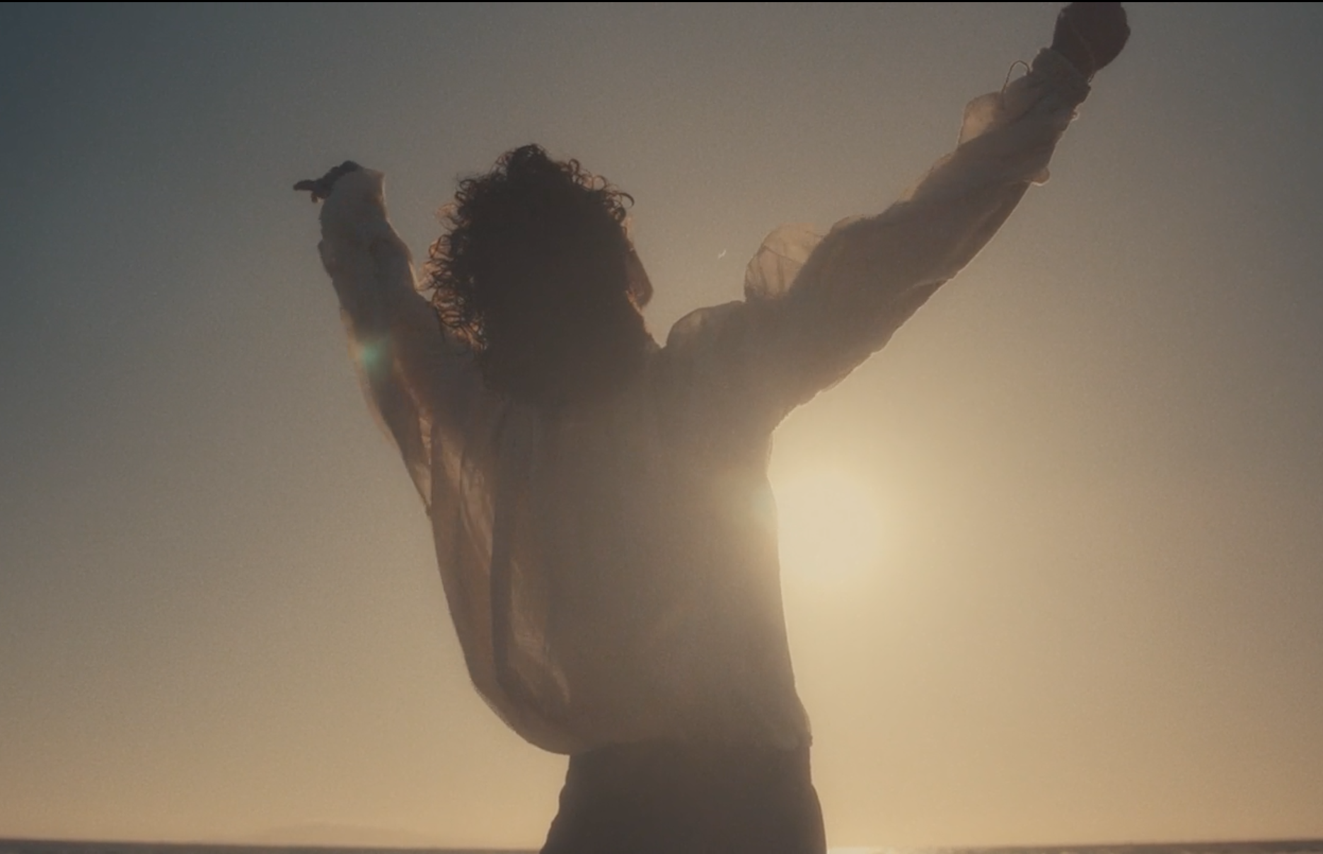 FABLE IV  “THE BEAUTY OF THE BEAST”