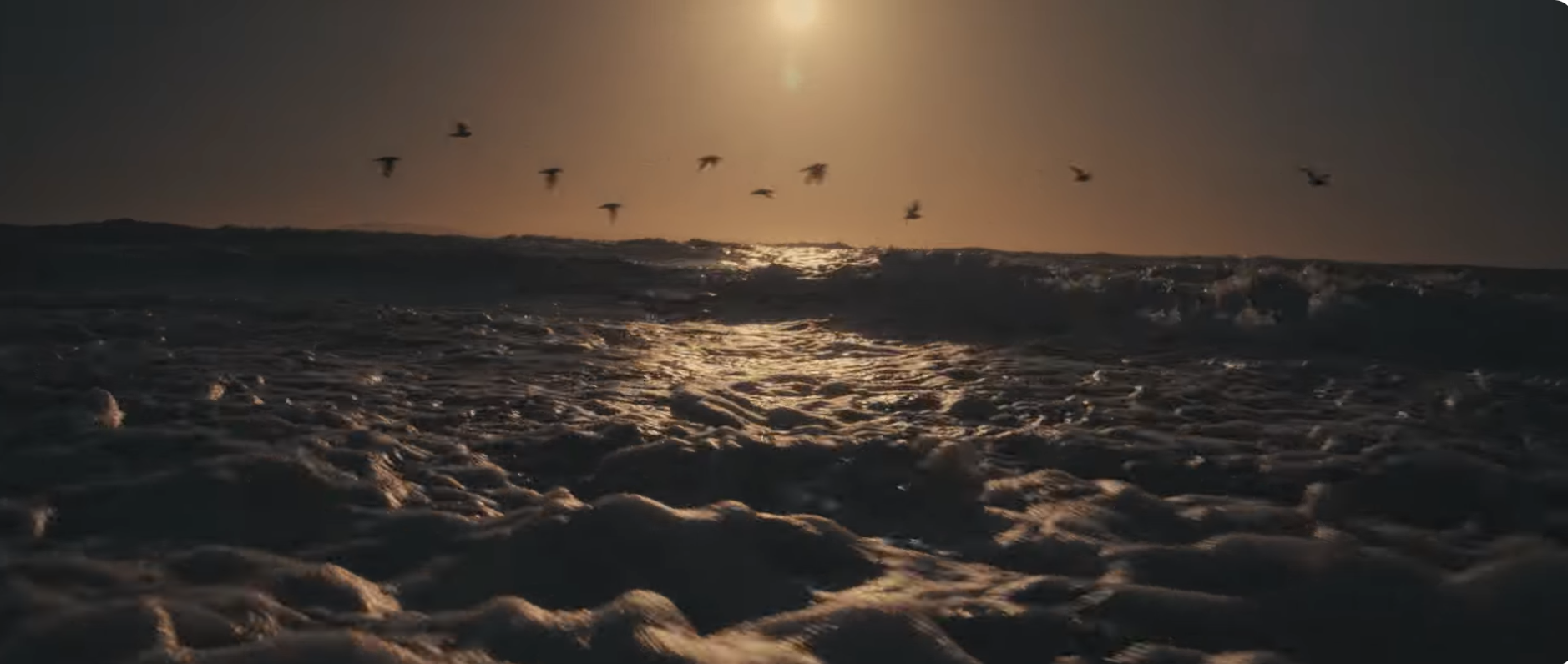 Screen Shot 2026-02-23 at 2.03.42 PM.png