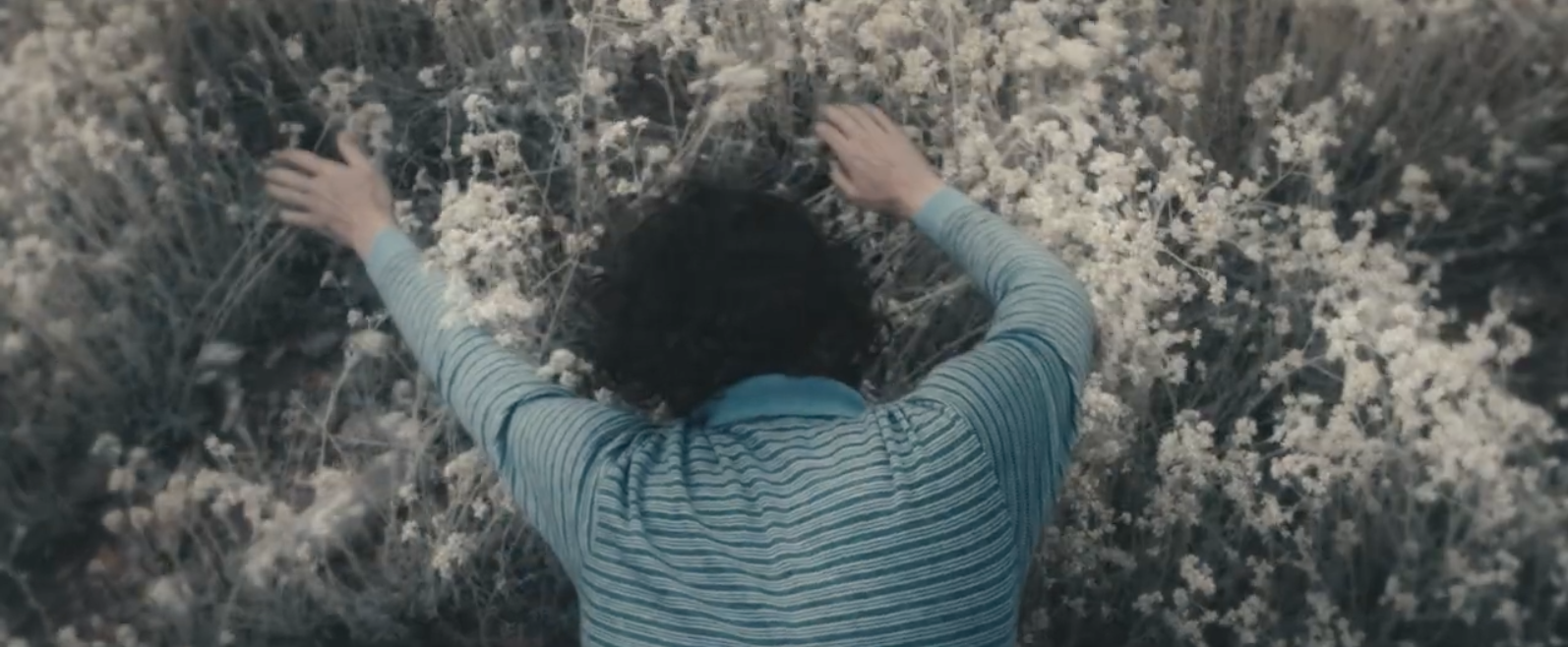 Screen Shot 2026-03-03 at 2.51.00 PM.png