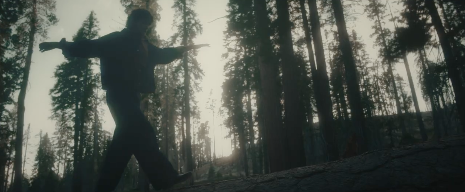 Screen Shot 2026-03-03 at 3.16.15 PM.png