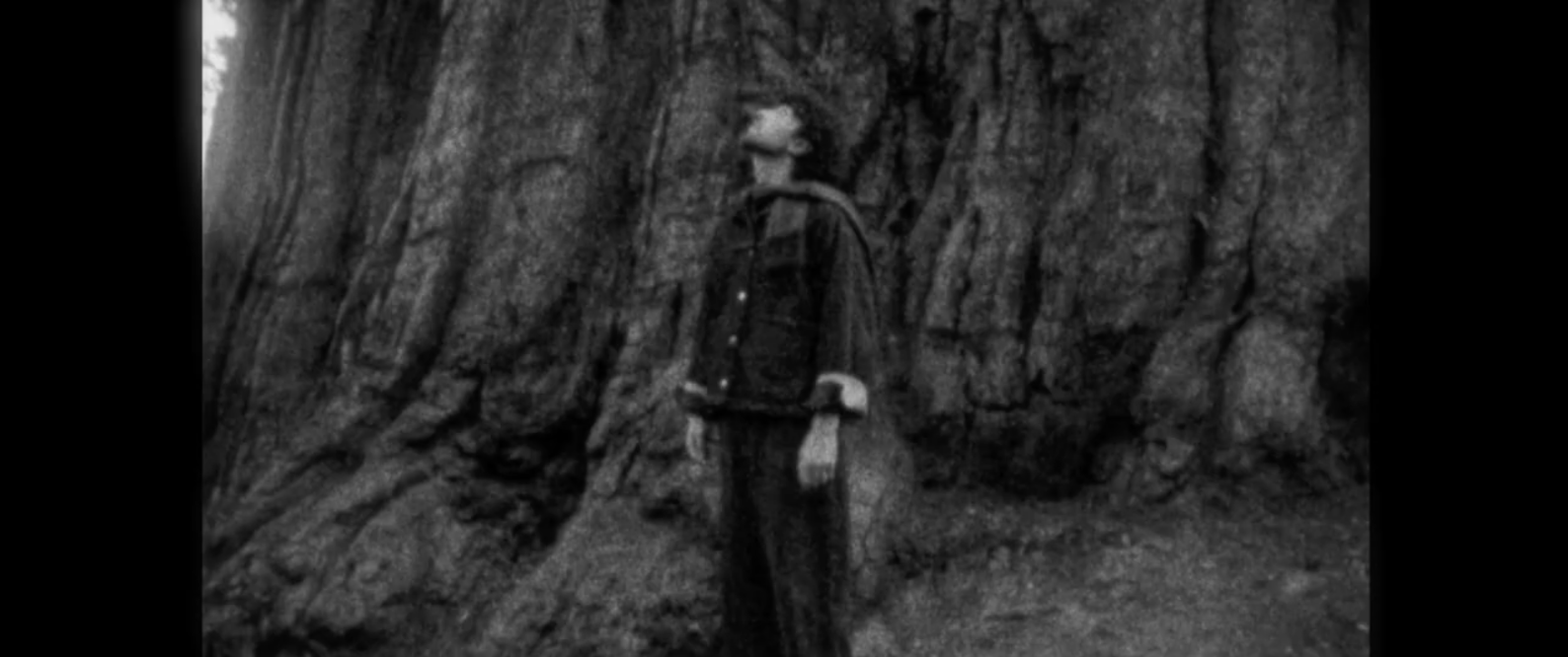 Screen Shot 2026-03-03 at 3.17.21 PM.png