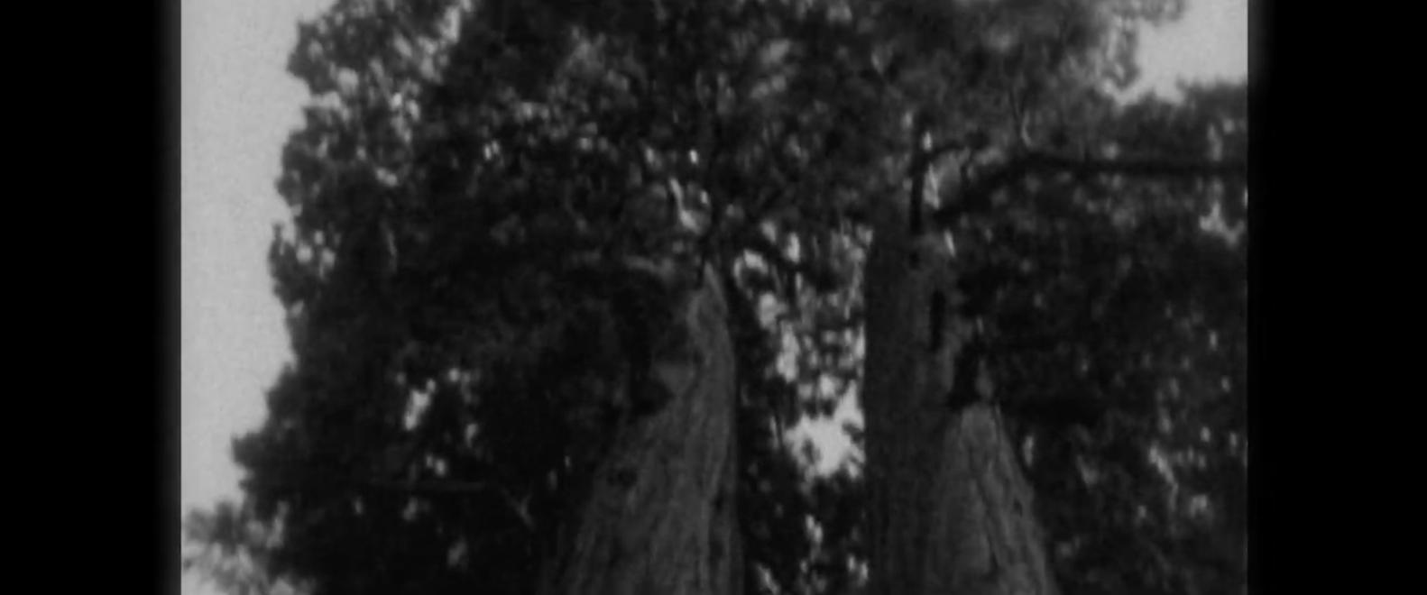 Screen Shot 2026-03-03 at 3.18.27 PM.png