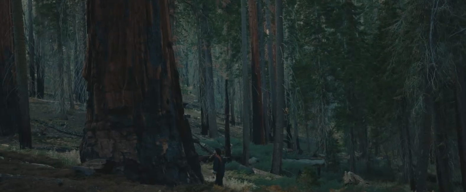 Screen Shot 2026-03-03 at 3.18.46 PM.png