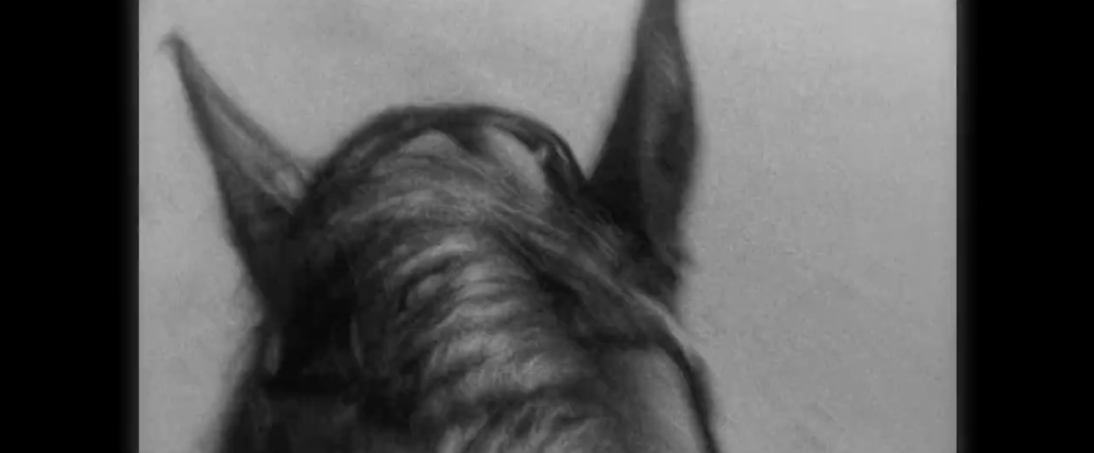 Screen Shot 2026-03-03 at 3.33.37 PM.png