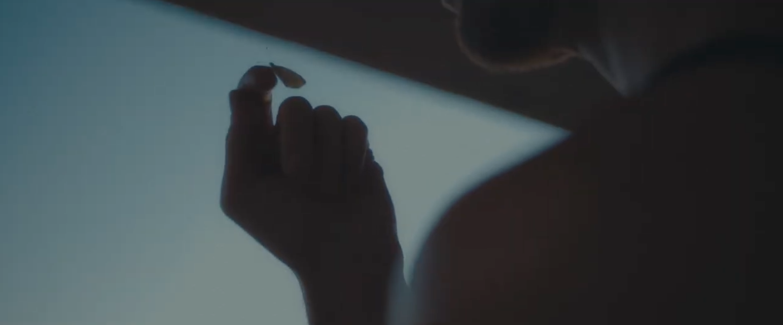 Screen Shot 2026-03-03 at 4.08.55 PM.png