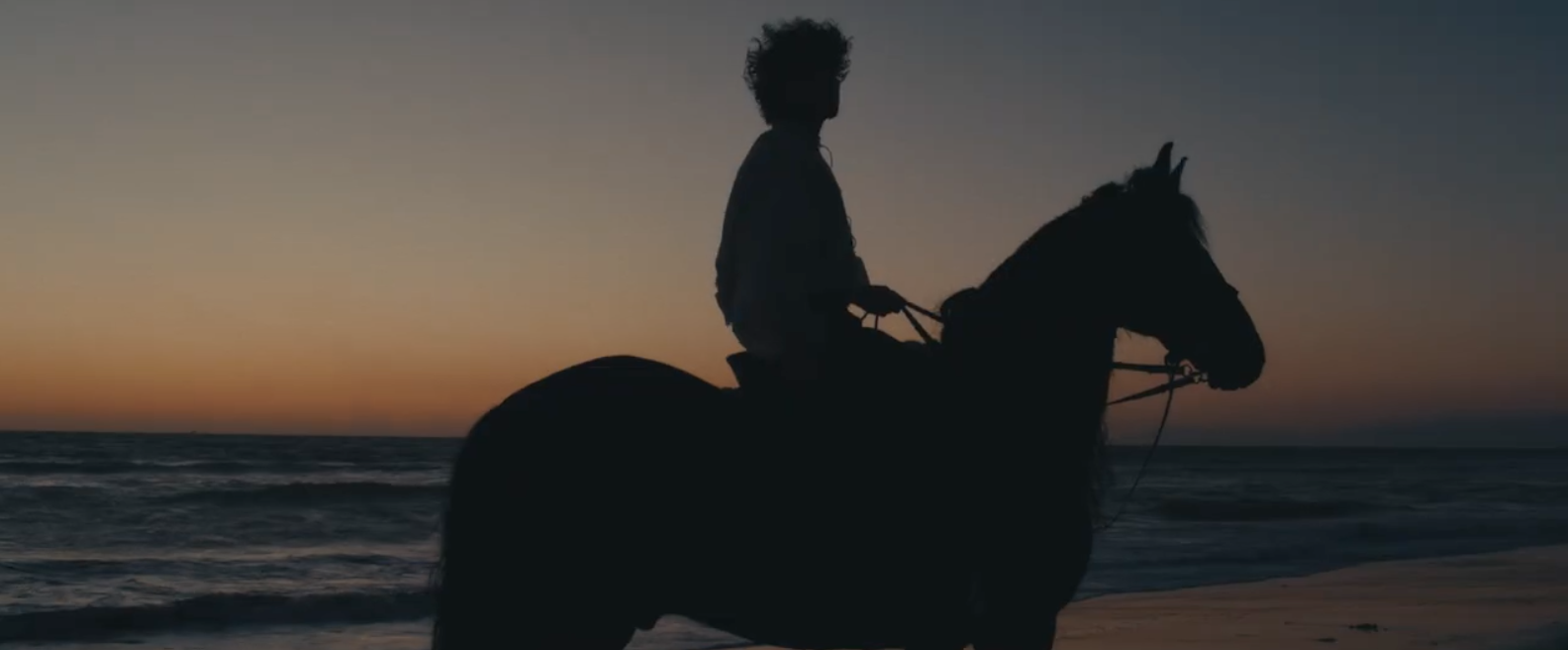 Screen Shot 2026-03-03 at 4.13.16 PM.png