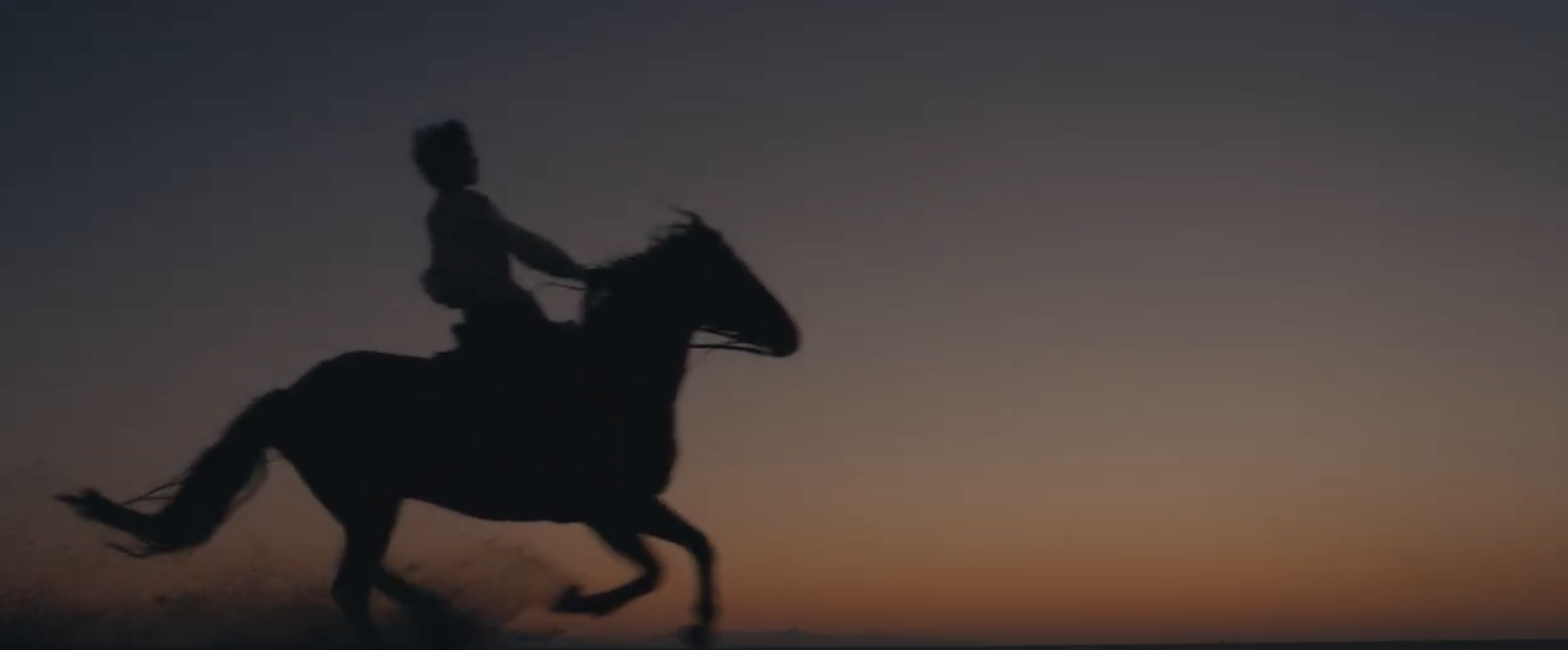 Screen Shot 2026-03-03 at 4.13.56 PM.png