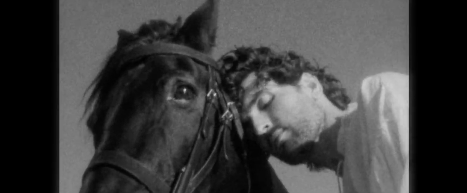 Screen Shot 2026-03-03 at 4.16.36 PM.png