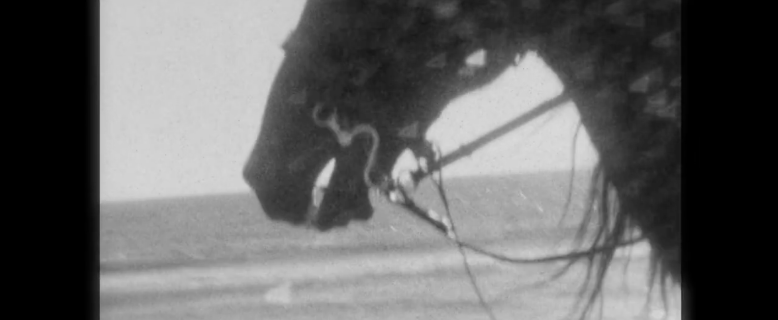 Screen Shot 2026-03-03 at 4.15.11 PM.png