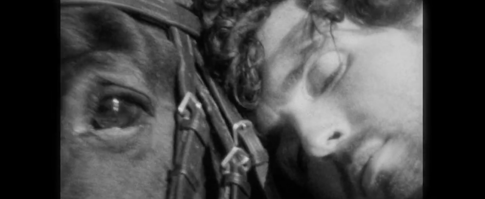 Screen Shot 2026-03-03 at 4.16.22 PM.png