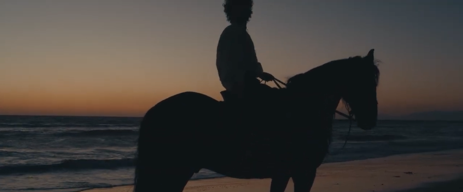 Screen Shot 2026-03-03 at 4.51.14 PM.png