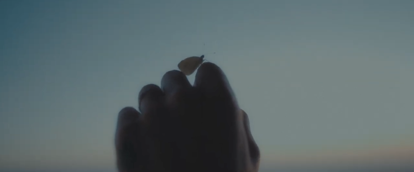 Screen Shot 2026-03-03 at 4.52.10 PM.png