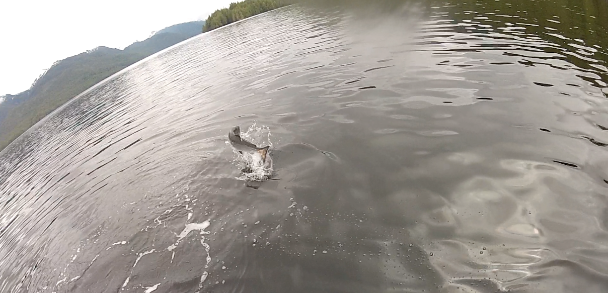 fishing charters Campbell River
