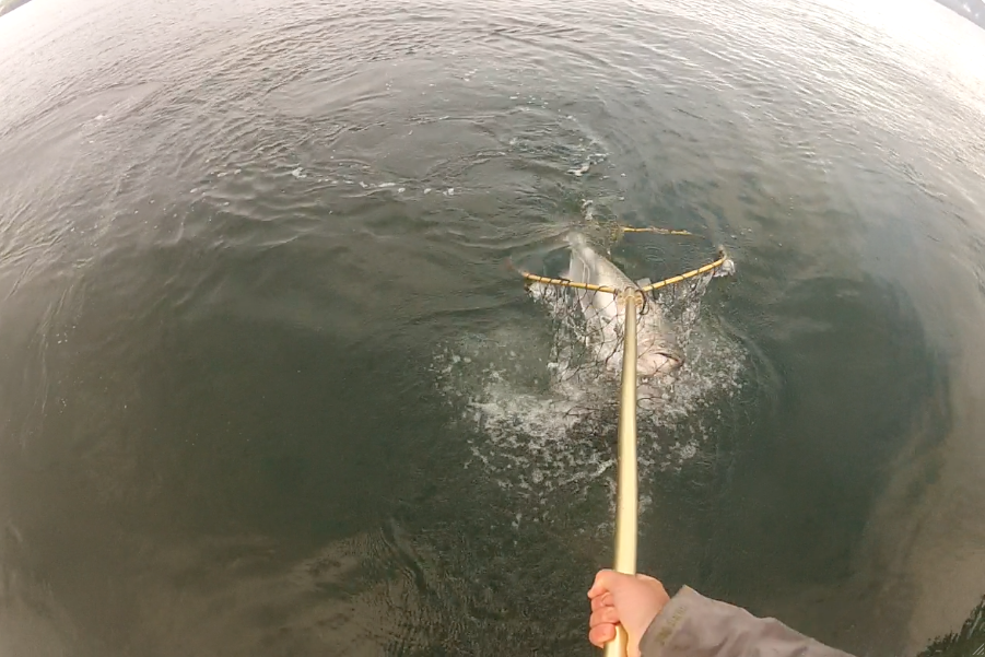 fishing charters Campbell River