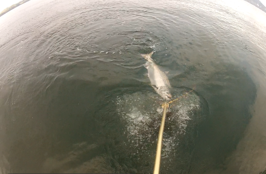 fishing charters Campbell River