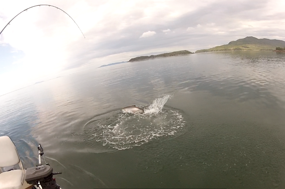 fishing charters Campbell River