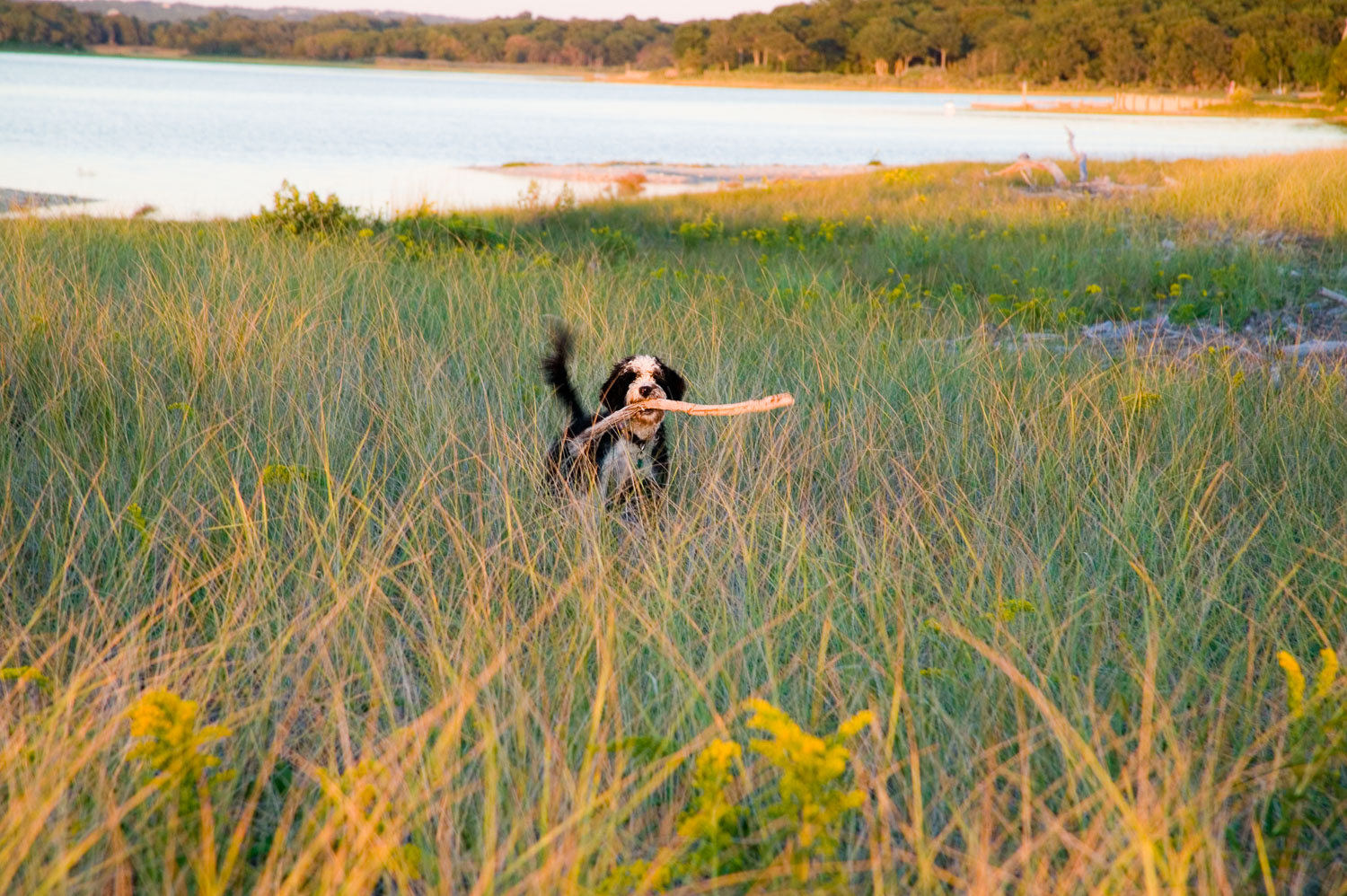 Bettyboo, joie de vivre