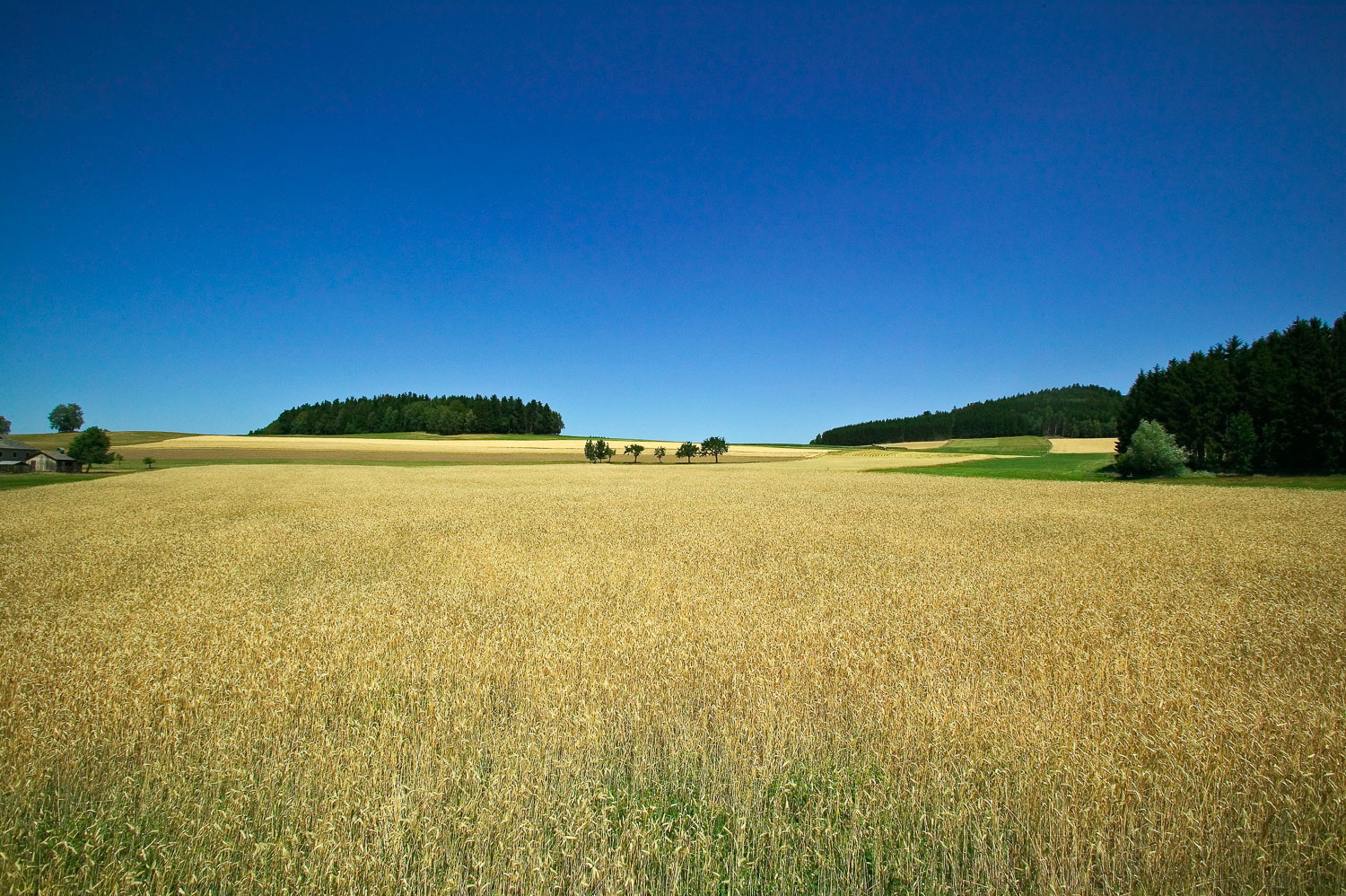 Farm Austria