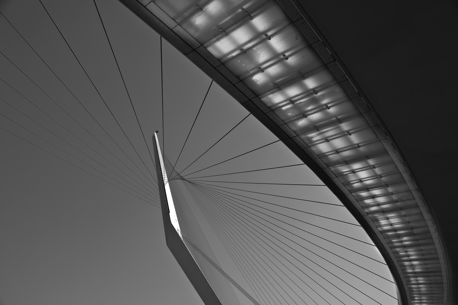 Chords Bridge, Israel