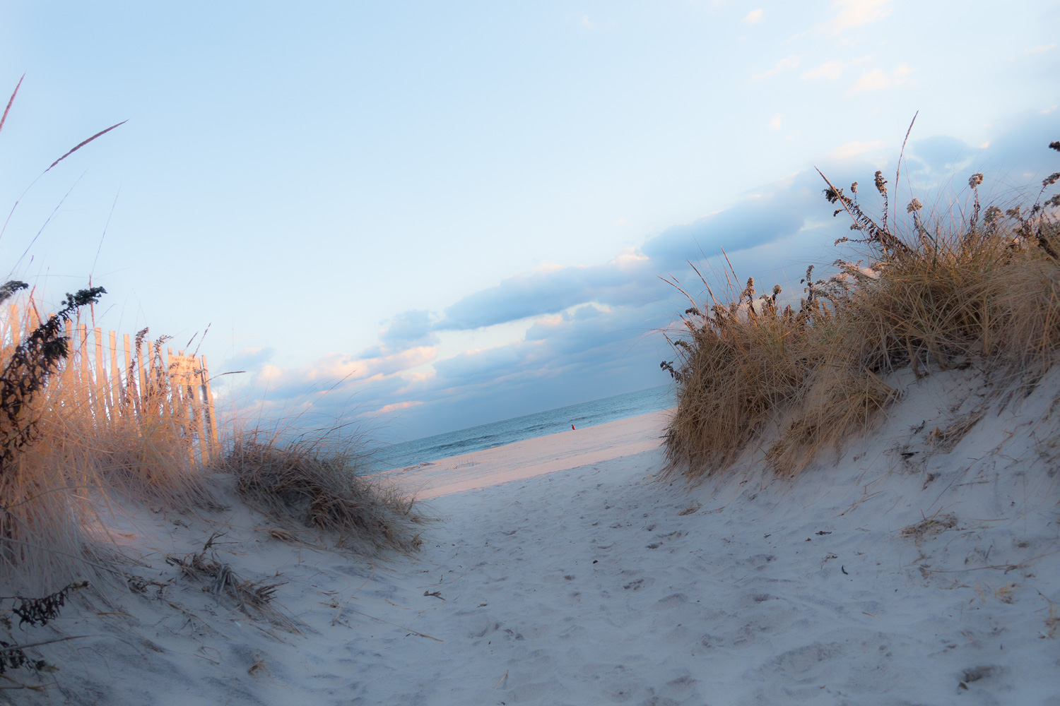  Beach Path 