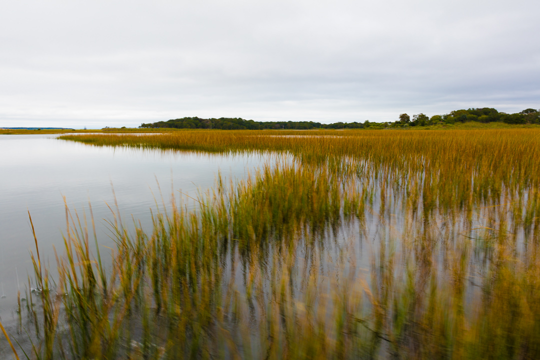  color study wetlands  